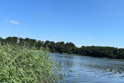 Grundstück zu verkaufen in Rohlstorf 699.000 € 5380 m² zimmer