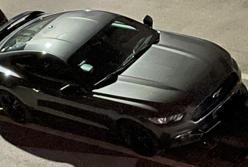 Mustang