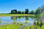 Einfamilienhaus Immenstaad am Bodensee - 890.000&euro; | Angebot:26933952