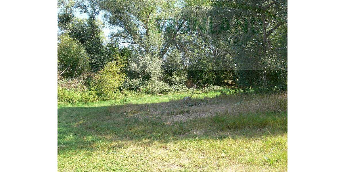Grundstück Zechin Buschdorf Buschdorf - 25.000&euro; | Angebot:25820820