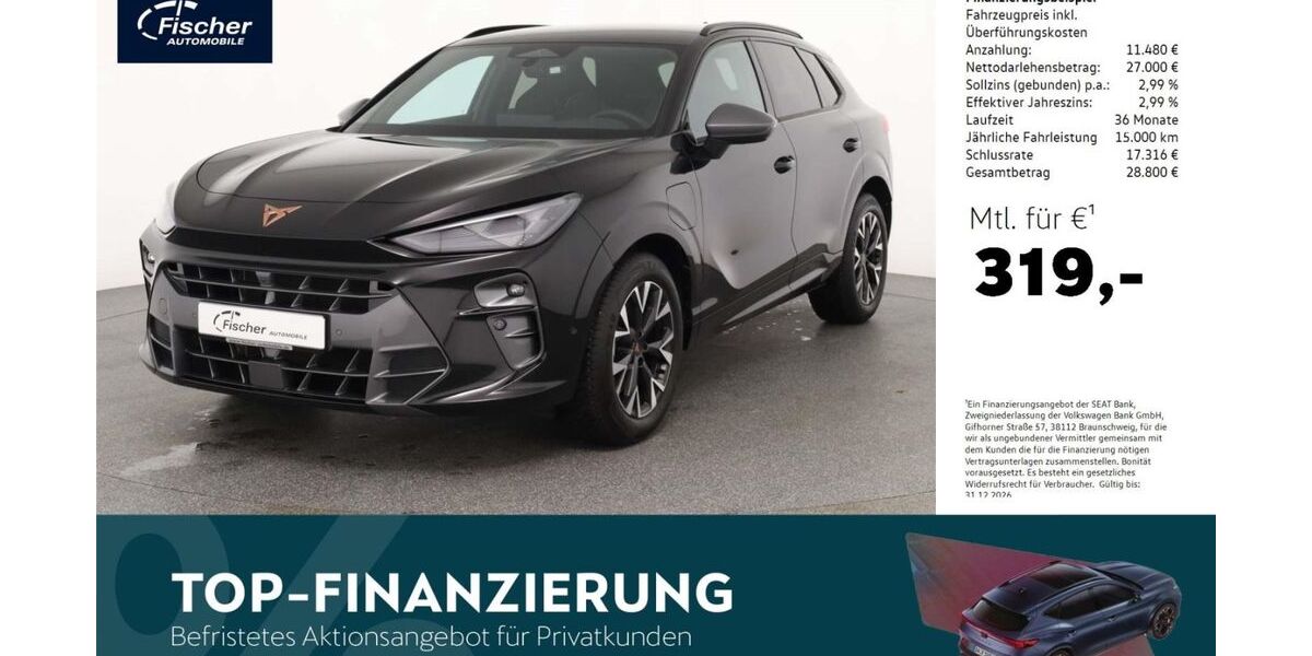 Cupra Terramar 19.633 km 38.480 &euro; Neumarkt 92318