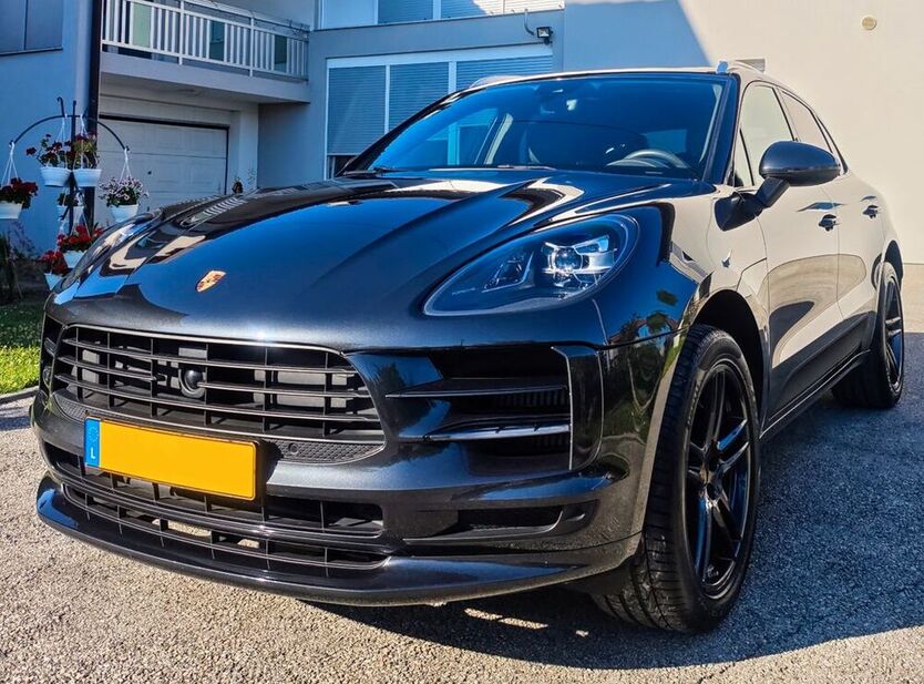 Macan