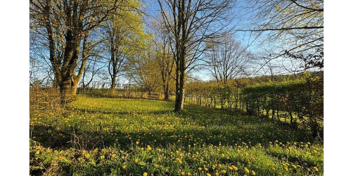 Grundstück Nattheim - 95.000&euro; | Angebot:25731070