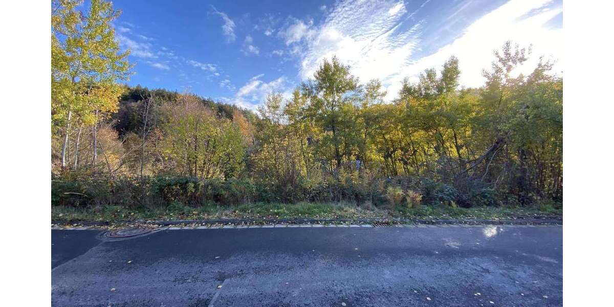 Grundstück Flörsbachtal - 49.000&euro; | Angebot:11601797