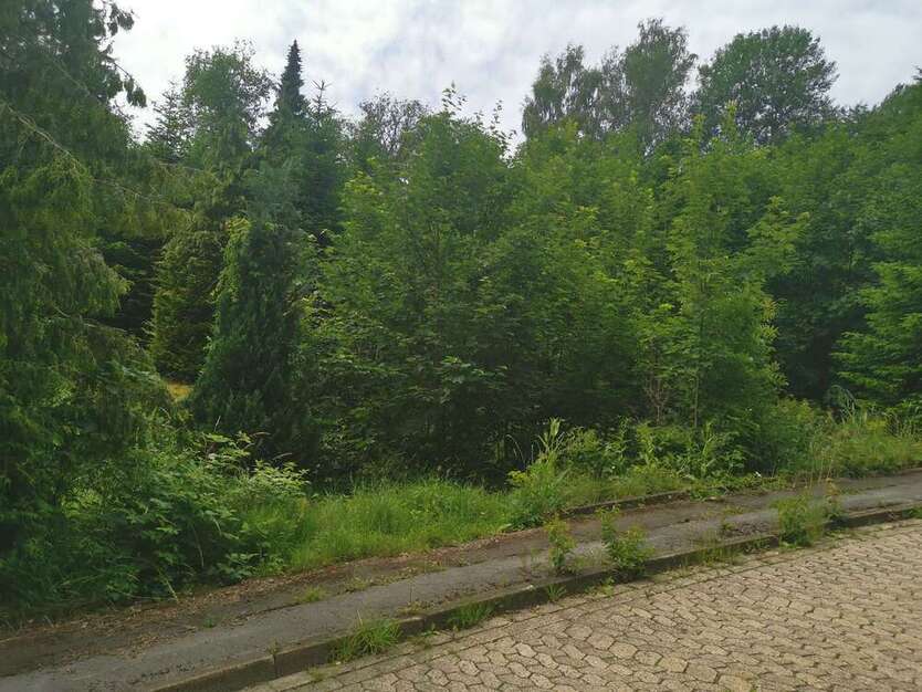 Grundstück zu verkaufen in Walkenried 25.000 € 1099 m²