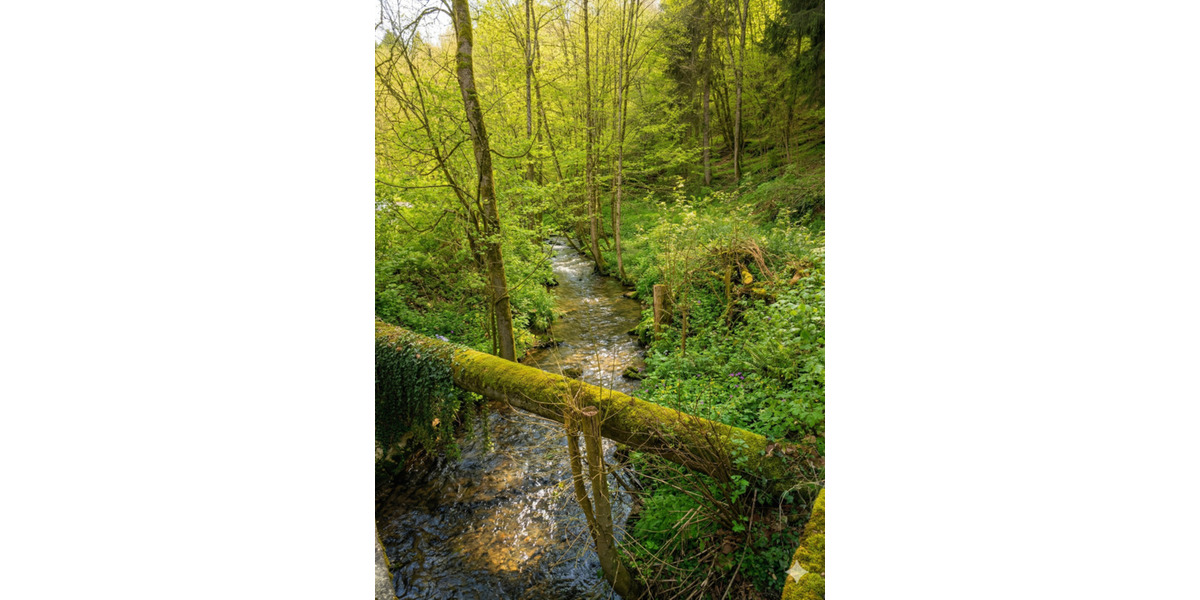 Gewerbeobjekt Wald-Michelbach Michelbach - 2.750&euro; | Angebot:25122185