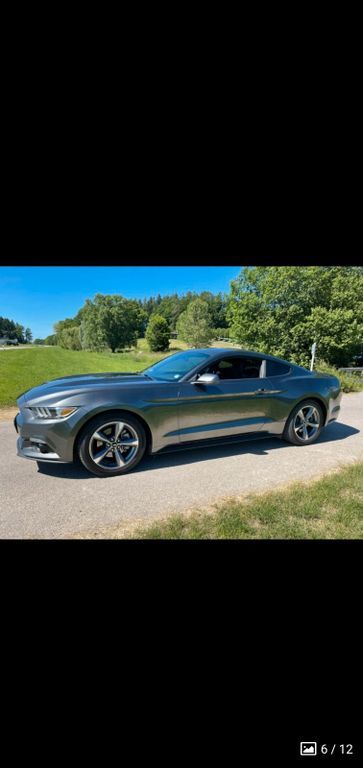 Mustang