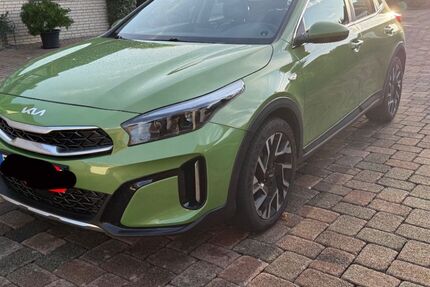 Kia XCeed 55.600 km 23.000 € Bad Wünnenberg 33181
