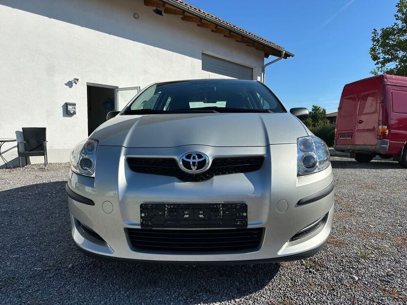 Auris