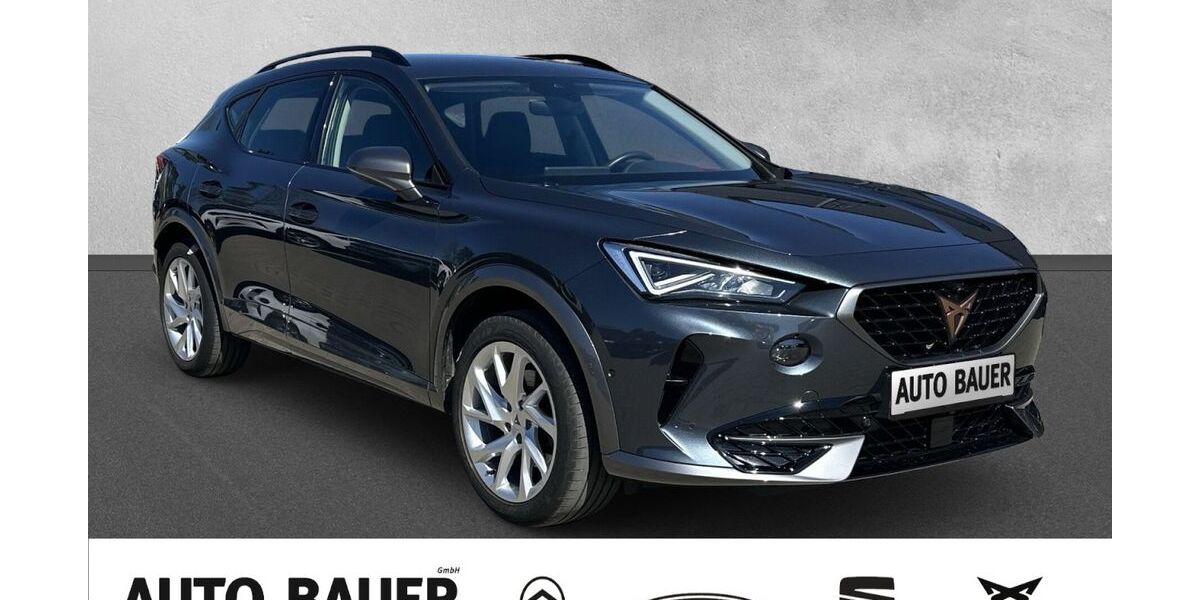 Cupra Formentor 60.016 km 25.990 &euro; Marktheidenfeld 97828