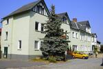 Sanierungsobjekt für Wohnanlage mit angrenzendem Baugrundstück 50 zimmer