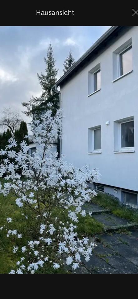 3 Zimmer Wohnung