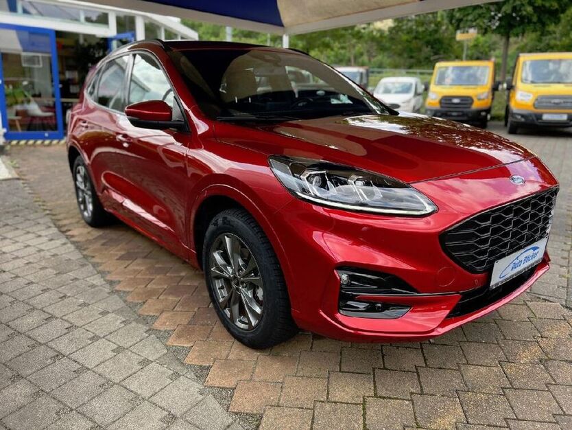 Kuga