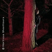 Nosferatus Auferstehung 27.12.2025 U-Bahn-Haltestelle Niddapark, Treppe nach unten