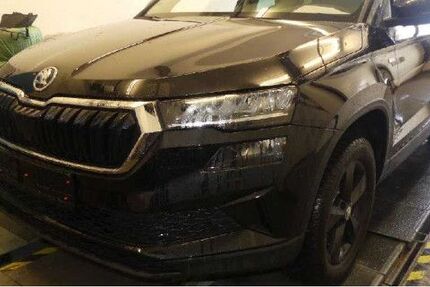 Skoda Karoq 59.747 km 25.880 &euro; Mainz 55129