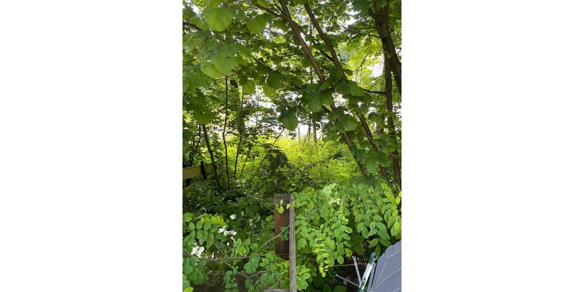 Reihenhaus Stromberg - 3 Zimmer, 63 m&sup2;, 785&euro; | Angebot:26566914