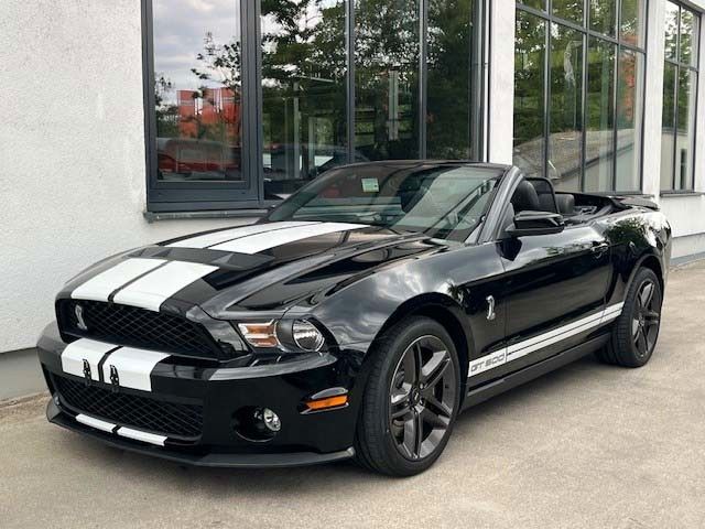 Mustang