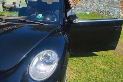 VW New Beetle 280.000 km 3.500 &euro; Pirna, Stadt 01796