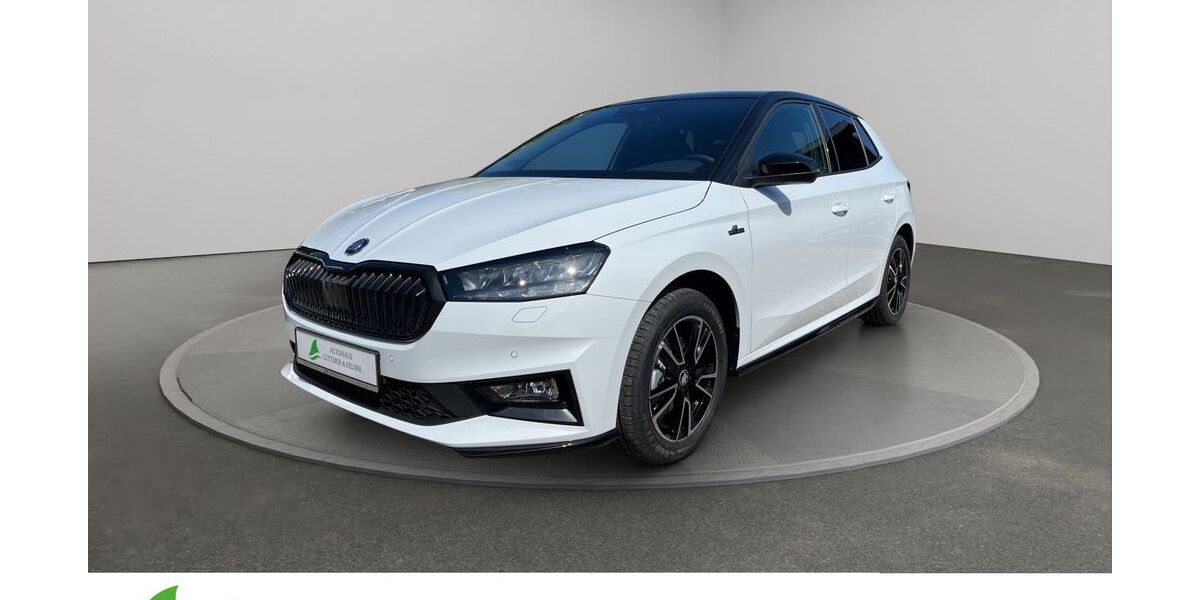 Skoda Fabia 1.050 km 23.990 &euro; Schleswig 24837