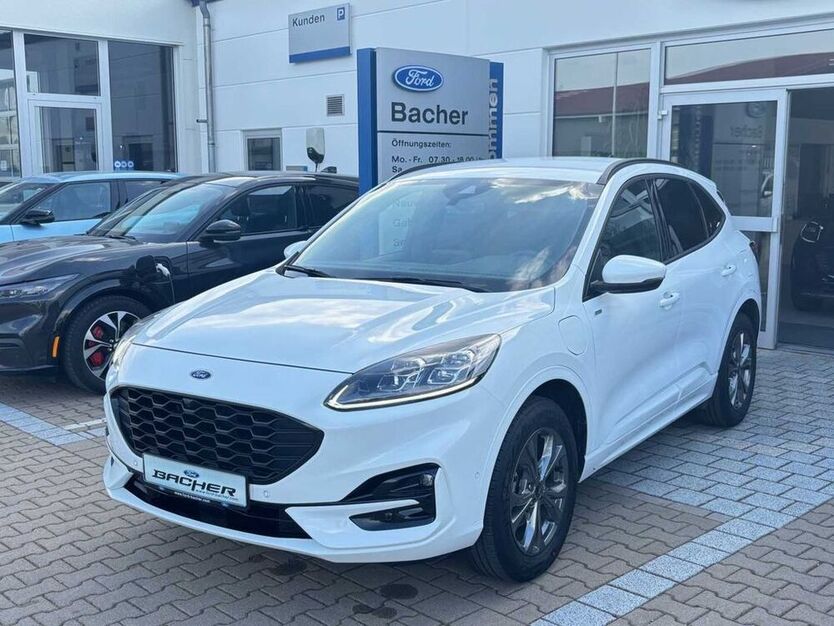 Kuga
