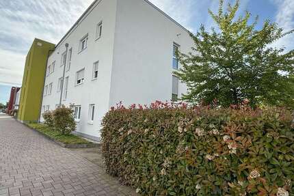 Wohnung Haßloch - 3.5 Zimmer, 88 m&sup2;, 359.000&euro; | Angebot:26857548