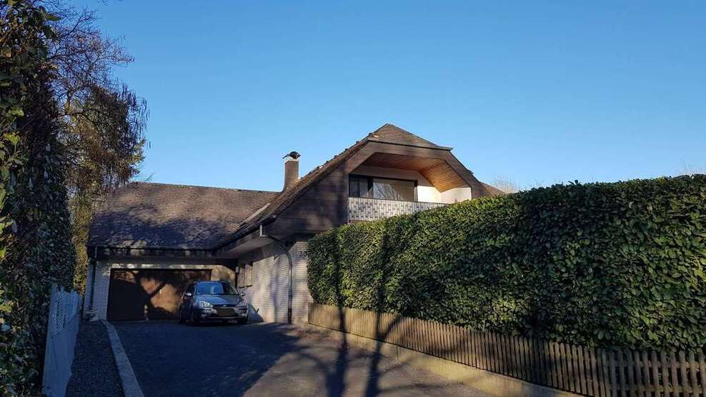 Haus zum Kaufen in Wittlich 720.000 € 309 m²