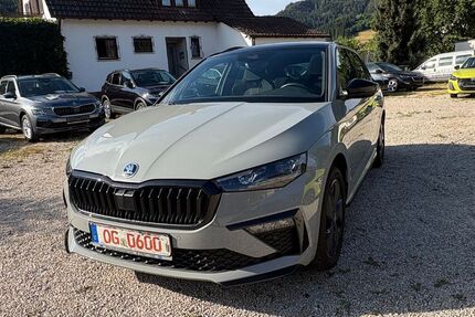Skoda Scala 19.990 km 25.690 &euro; Gutach 77793