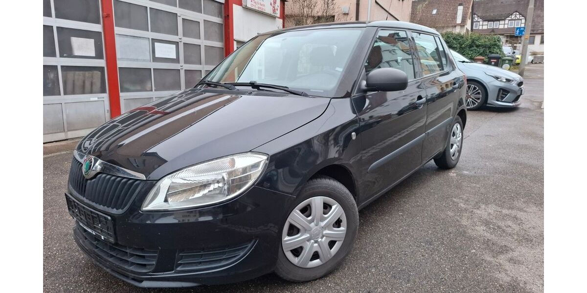 Skoda Fabia 142.000 km 2.800 € Stuttgart 70195