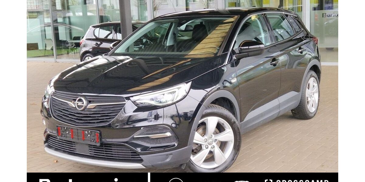 Opel Grandland (X) 40.919 km 16.925 &euro; Greven 48268