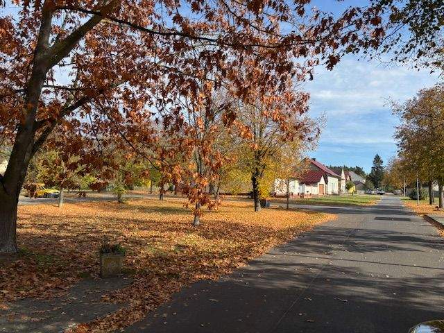 Grundstück Planebruch Oberjünne - 125.000&euro; | Angebot:25770013