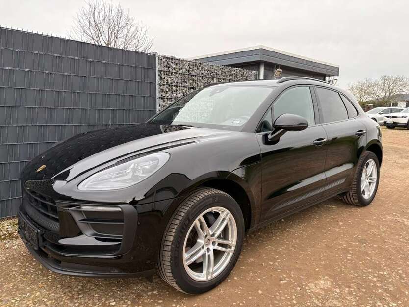 Macan