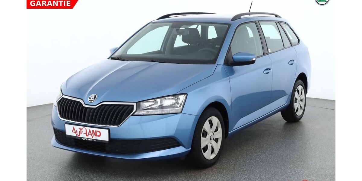 Skoda Fabia 59.969 km 13.990 &euro; Dresden 01239