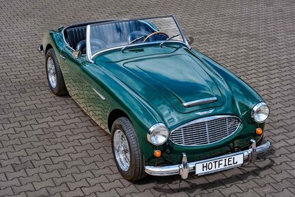 Austin Healey Andere