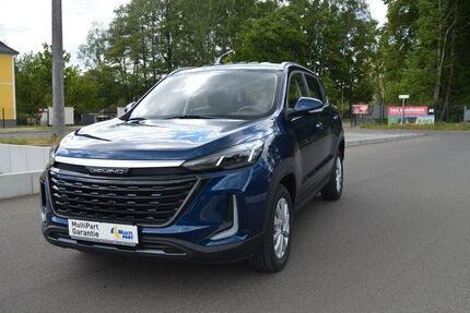 Baic Andere