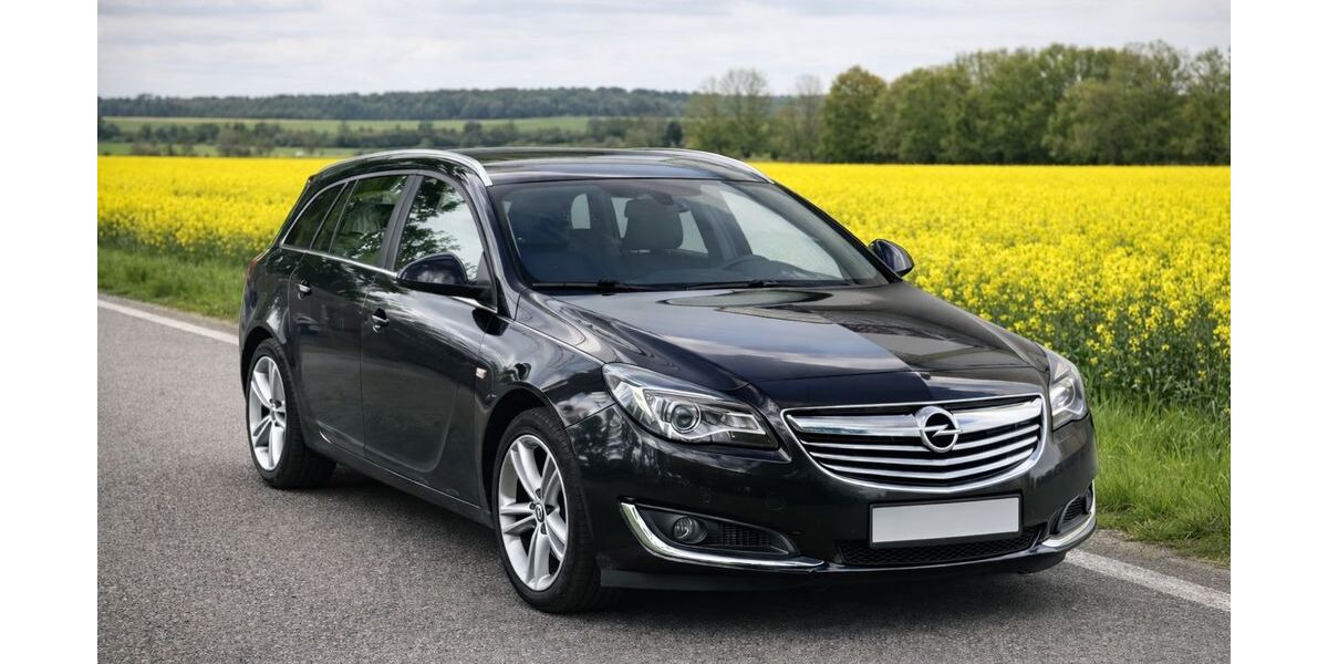 Opel Insignia 292.000 km 4.999 &euro; Wurzen 04808