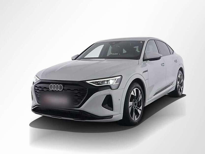 Audi Q8 43.990 km 47.419 € Grünwald 82031