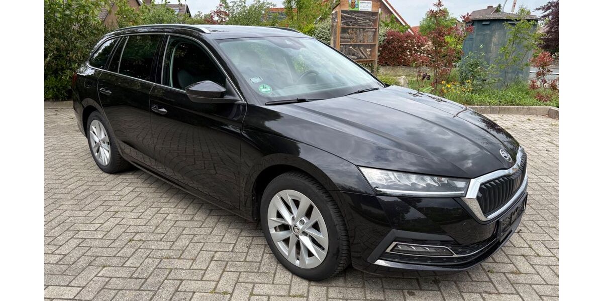 Skoda Octavia 129.000 km 16.541 &euro; Bad Bentheim/Gildehaus 48455