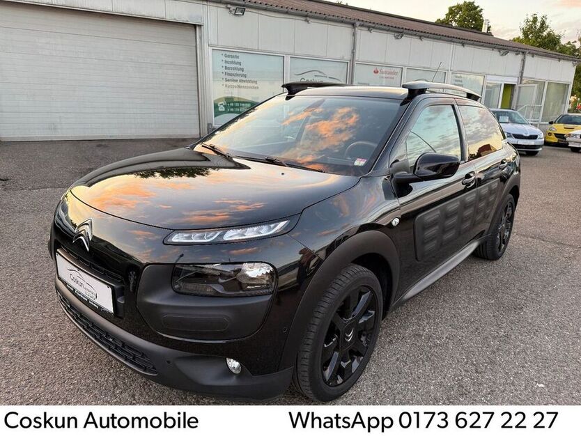 C4 Cactus
