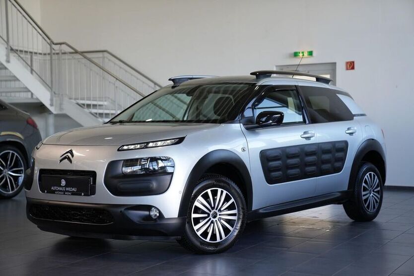 C4 Cactus
