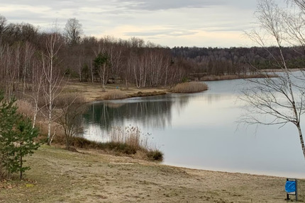 Modern sanierte 2 Raum-Wohnung 2 zimmer