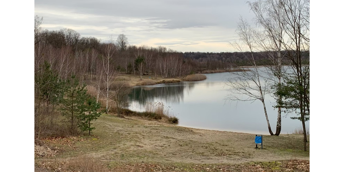 Modern sanierte 2 Raum-Wohnung 2 zimmer