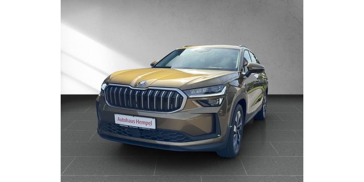 Skoda Kodiaq 19.600 km 47.990 &euro; Gera 07548