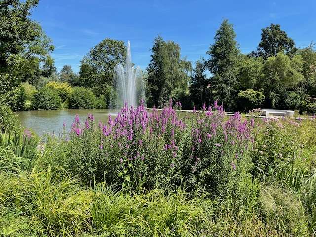 Etagenwohnung Bad Schönborn Bad Mingolsheim - 4 Zimmer, 133 m&sup2;, 799.800&euro; | Angebot:24964735