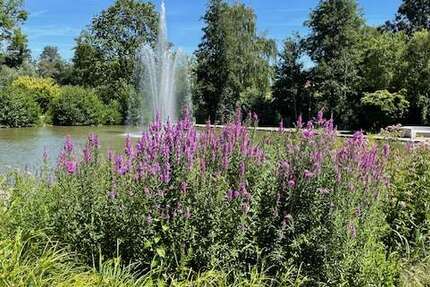 Wohnung Bad Schönborn Bad Mingolsheim - 4 Zimmer, 133 m&sup2;, 799.800&euro; | Angebot:24964735