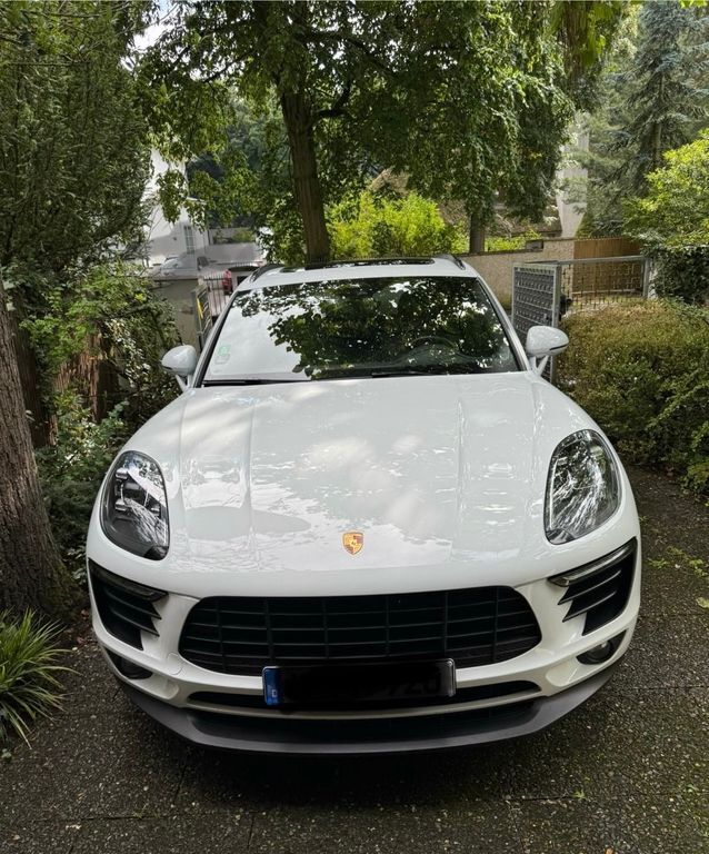 Macan
