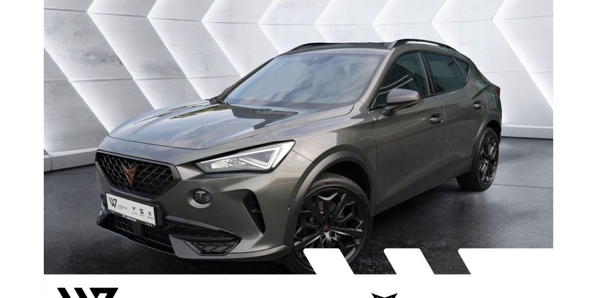 Cupra Formentor 20.491 km 32.625 &euro; Gelnhausen 63571