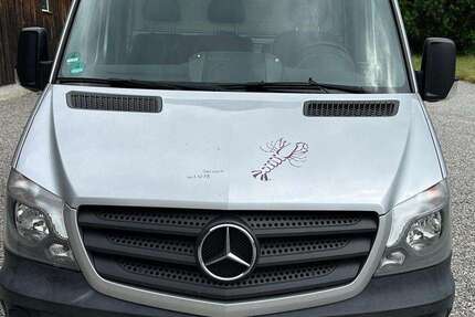 Mercedes-Benz Sprinter 230.000 km 23.205 &euro; Steindorf OT Eresried 82297