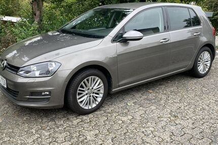 VW Golf 115.300 km 9.750 &euro; Essenheim 55270