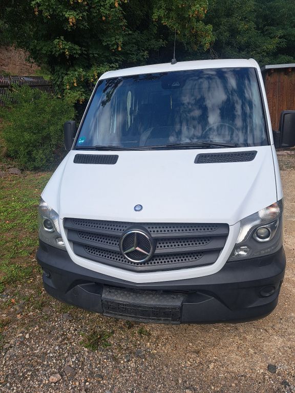 Sprinter