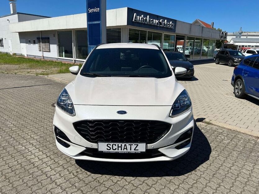 Kuga